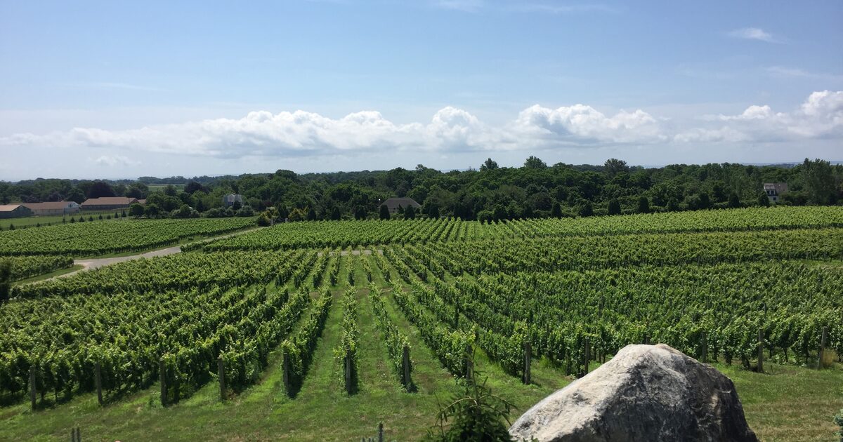 South Salem Winery